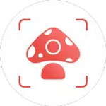 Picture Mushroom icon
